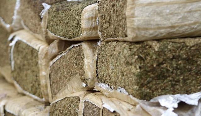 Abandonan 150 kilos de marihuana en Temixco