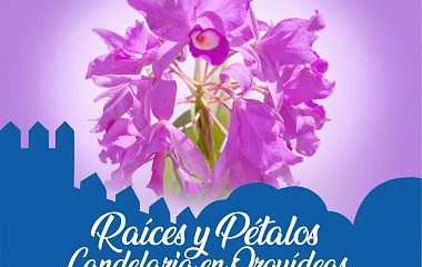 Fin de semana en el MuCiC: 'Raíces y pétalos, una celebración de la Candelaria en orquídeas'