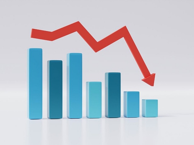 Día Mundial del Decrecimiento Canva